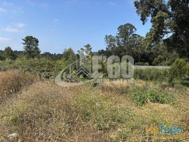TERRENO EM ESMOJÃES | 26084099472