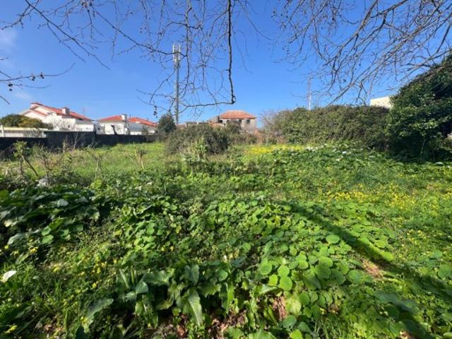 Terreno em Esmoriz