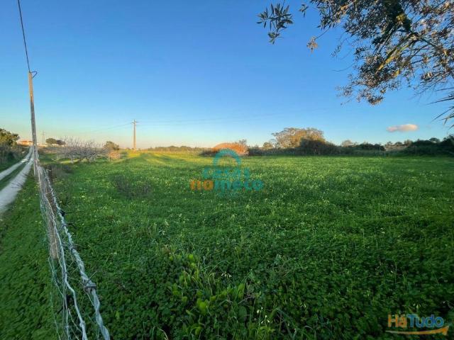 Terreno em espaço agrícola/florestal, vista de mar! | 26083490157