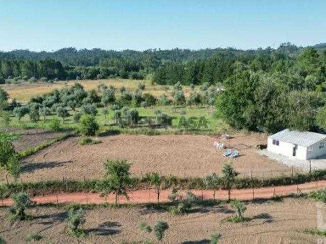 Terreno em Espinhal
