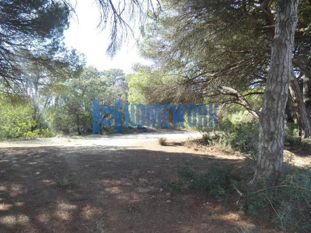 Terreno em fase de urbanização na Costa da Caparica
