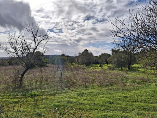 Terreno em Fazendas da Serra,Loulé