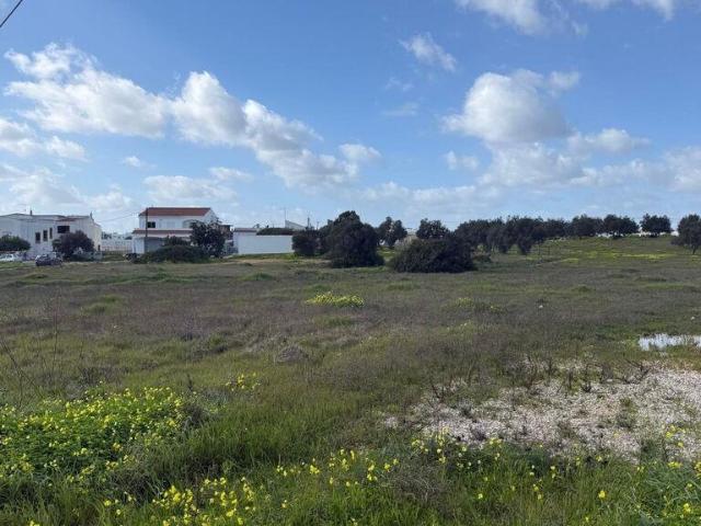 Terreno em Ferreiras