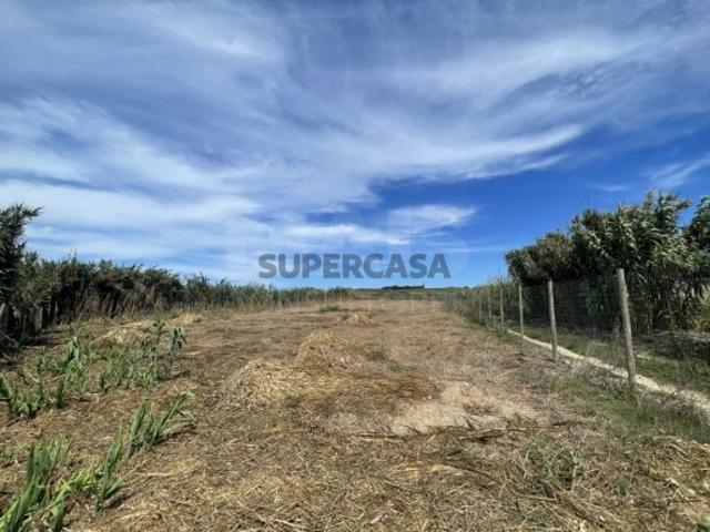 Terreno em Ferrel