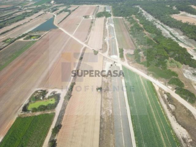 Terreno em Ferrel