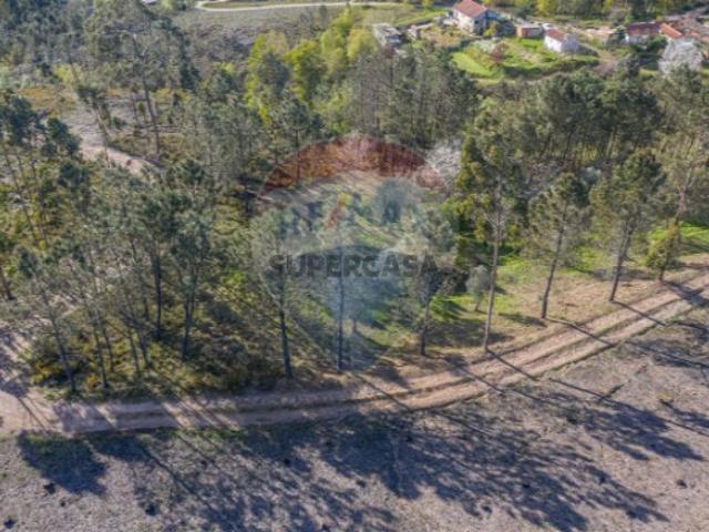 Terreno em Fornelos e Queijada