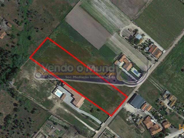 Terreno em Foros de Salvaterra F698 | 26063992364
