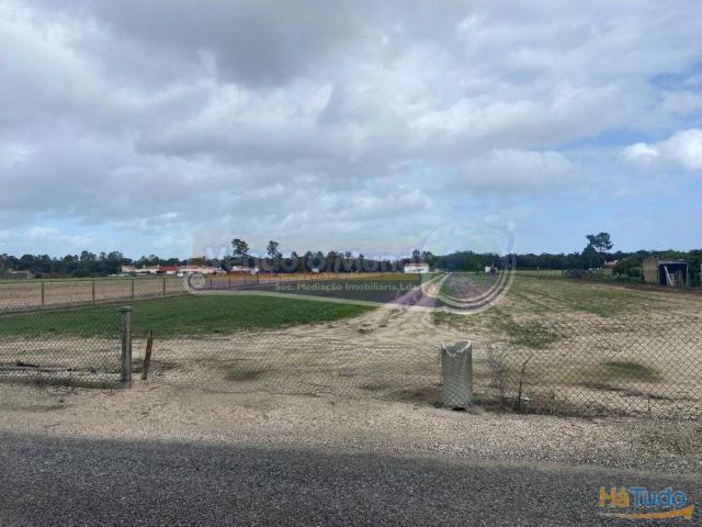 Terreno em Foros de Salvaterra F798 | 26063919132