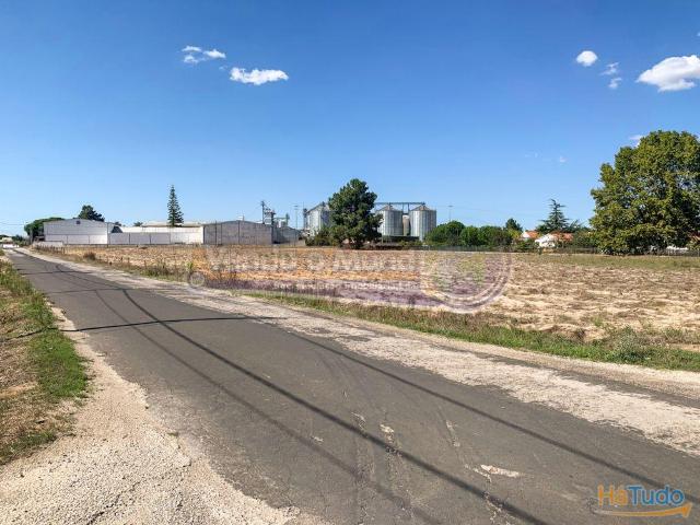 Terreno em Foros de Salvaterra F702 | 26083389267
