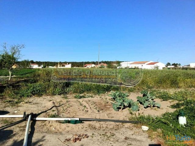 Terreno em Foros de Salvaterra F729 | 26083541820