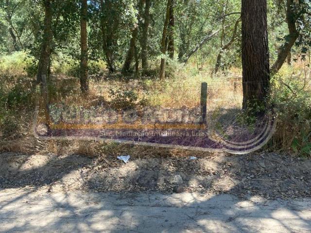 Terreno em Foros de Salvaterra F842
