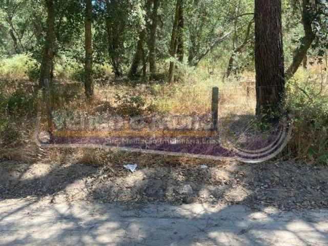 Terreno em Foros de Salvaterra F842 | 26064093965