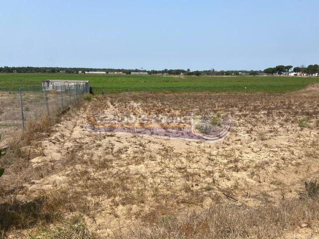 Terreno em Foros de Salvaterra F844
