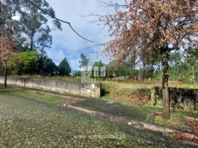 Terreno em Forjães