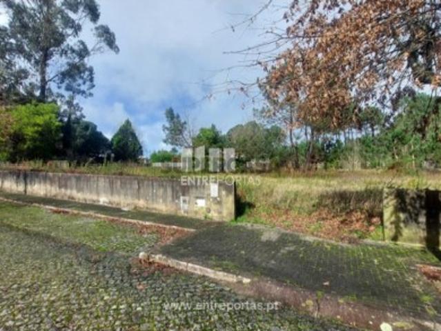 Terreno em Forjães