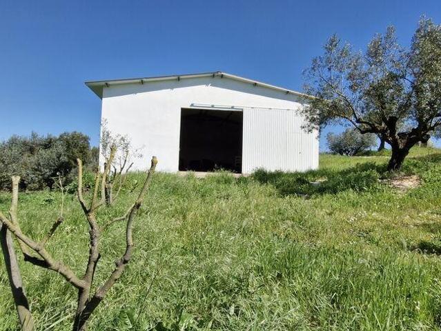 Terreno em Fráguas de 165,00 m²