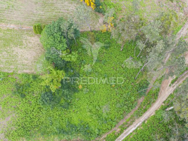 Terreno em Gême, Vila Verde Braga