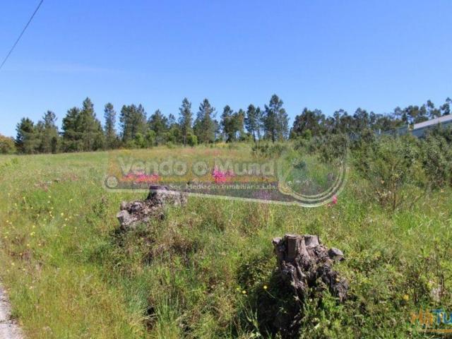 Terreno em Glória do Ribatejo GLR034 | 26083918836