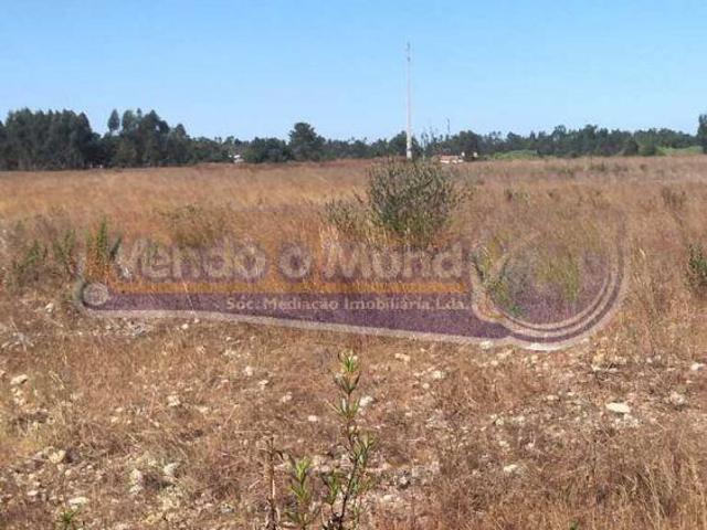 Terreno em Glória do Ribatejo GLR040 | 26084028224