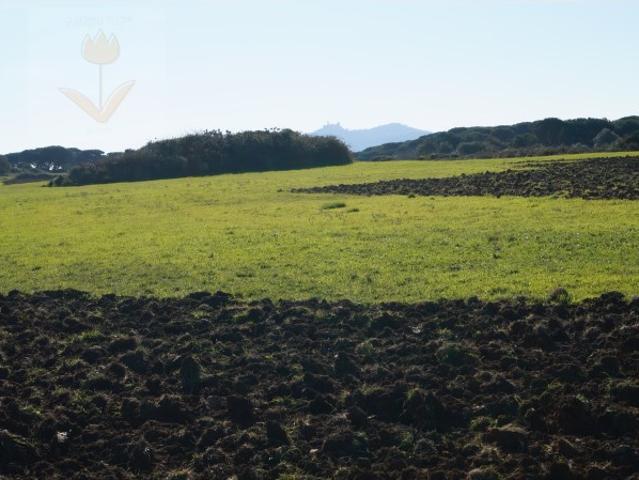 Terreno em Gouveia