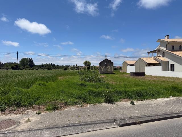 Terreno em Ílhavo São Salvador 1206m²