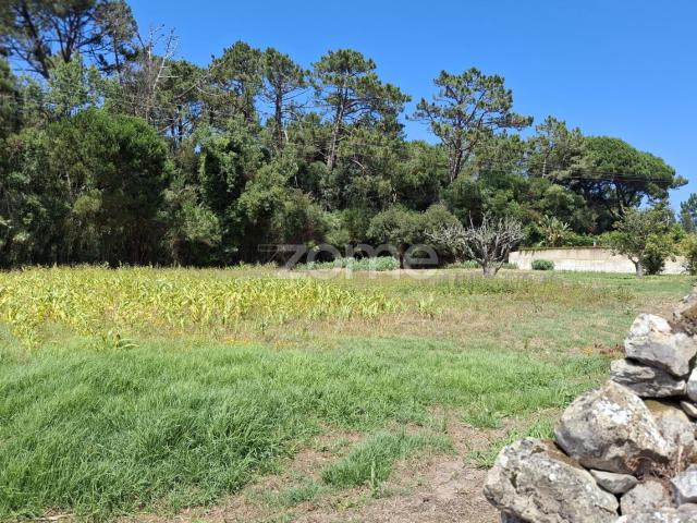 Terreno em Janas Sintra com Permissão de Construção – 4.040 m²