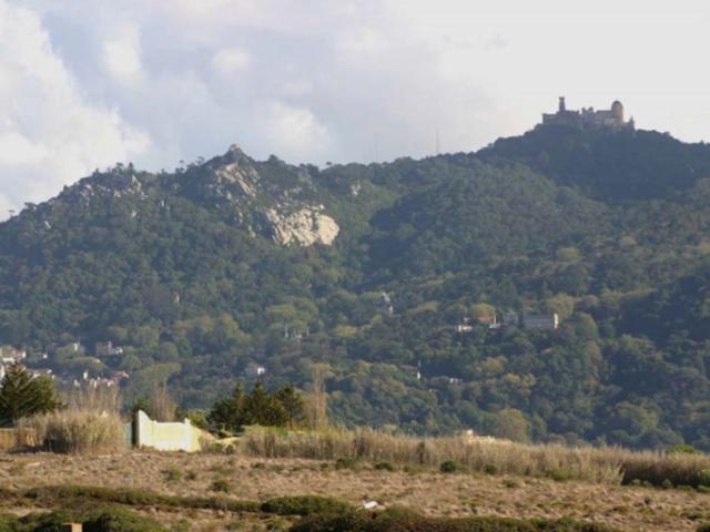 Terreno em Janas
