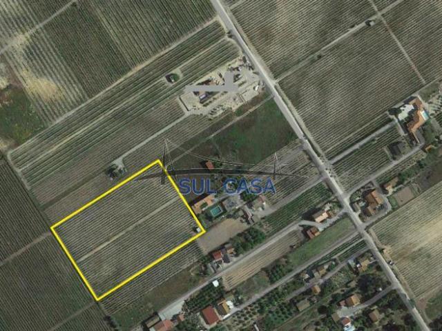 Terreno em LAU, PALMELA | 26083632327