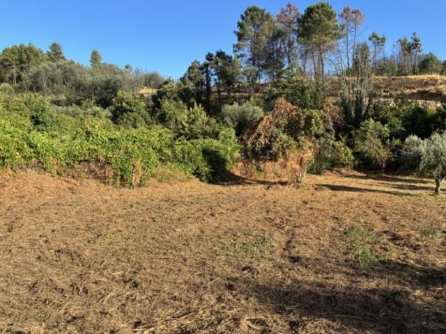Terreno em Lavacolhos