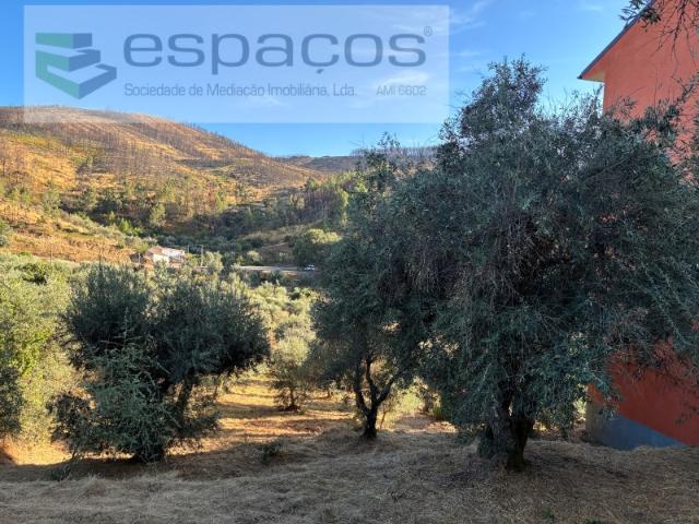 Terreno em Lavacolhos