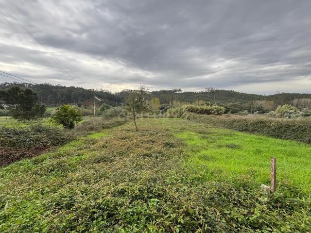 Terreno em localização privilegiada, com ótima exposição solar, na freguesia de Colmeias, Leiria