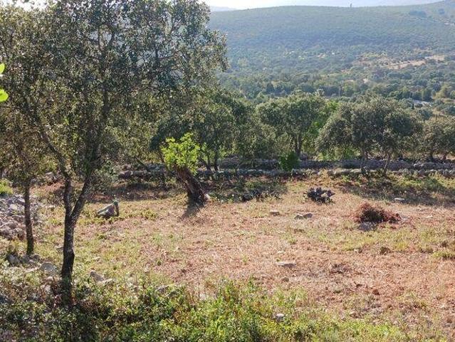 Terreno em Loulé São Sebastião de 3160,00 m²