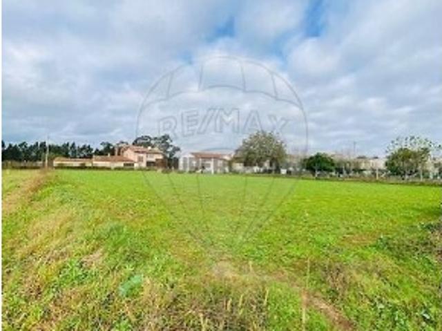 Terreno em Loureiro