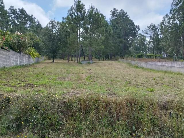 Terreno em Lourenços / Simões, Soure