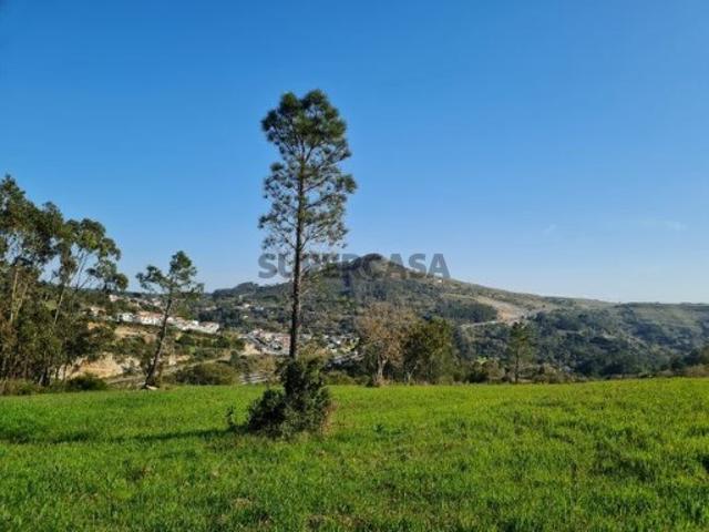 Terreno em Lousa
