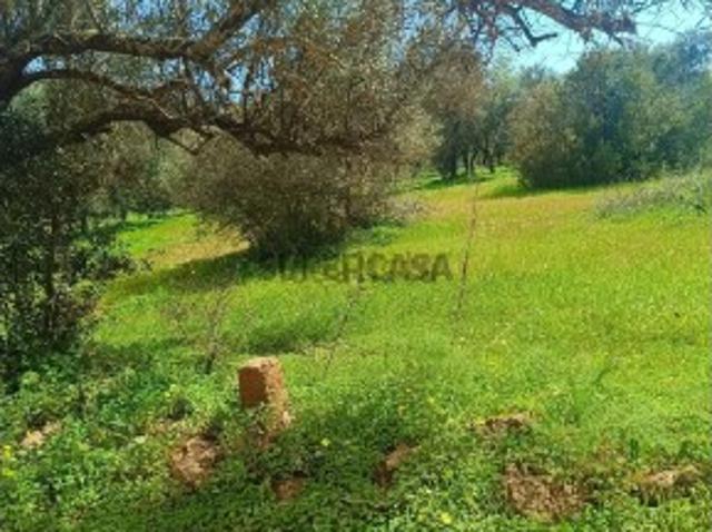 Terreno em Paderne