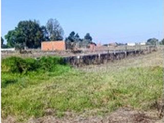 Terreno em Palmela