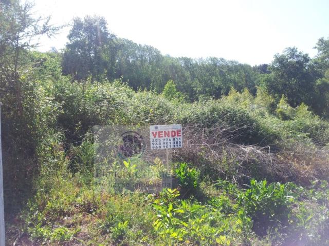 Terreno em Paredes com 22.000 m2, ótimo investimento