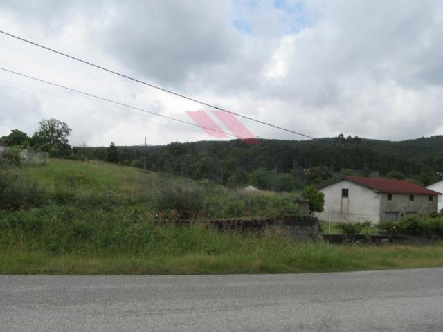 Terreno em Paredes de Coura