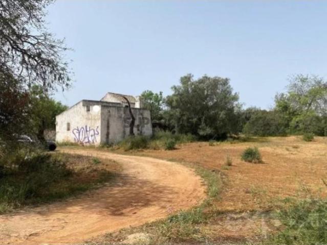 Terreno em Pechão