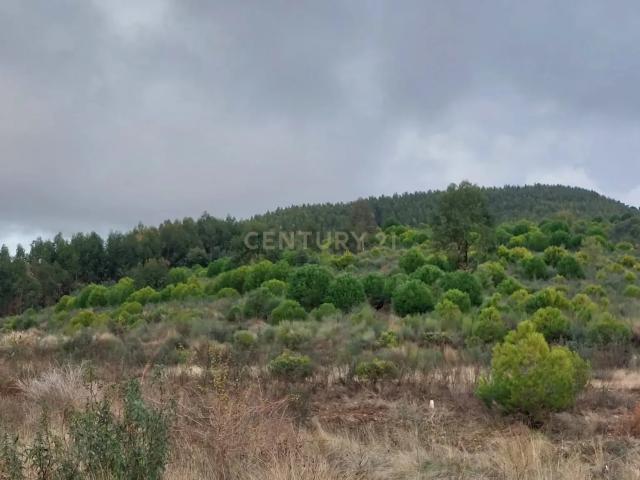 Terreno em Penamacor, Castelo Branco Oportunidade Única!