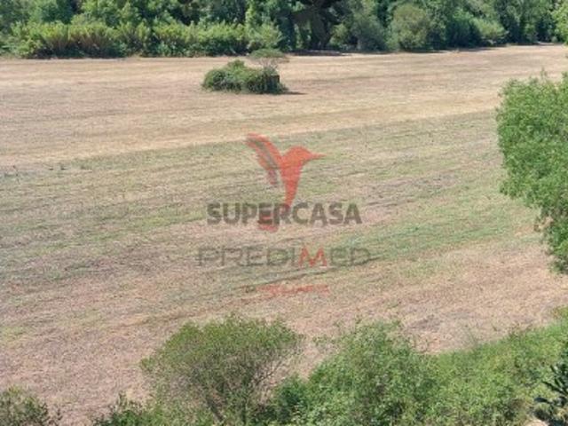 Terreno em Pernes