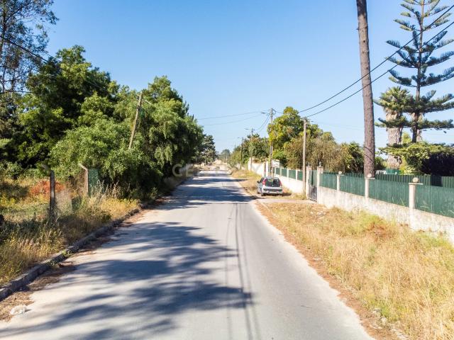 Terreno em Pinhal de Frades Fernão Ferro
