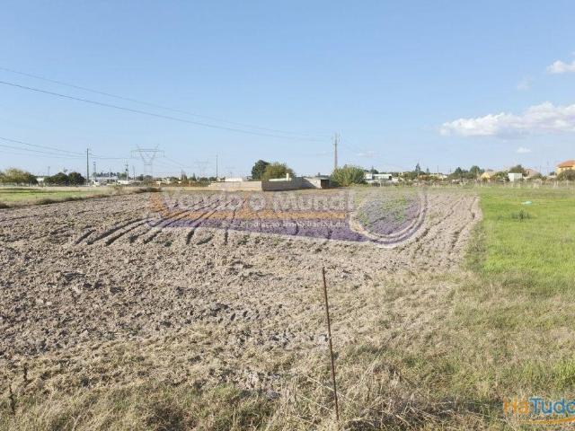 Terreno em Porto Alto PALT345 | 26083918987