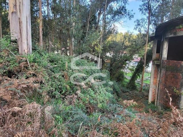 Terreno em Pousada de Saramagos