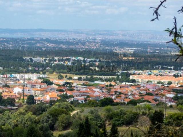 Terreno em Quinta do Anjo