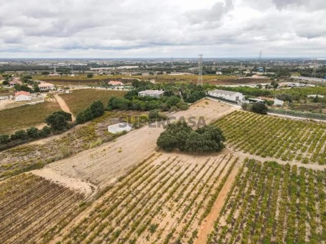 Terreno em Quinta do Anjo