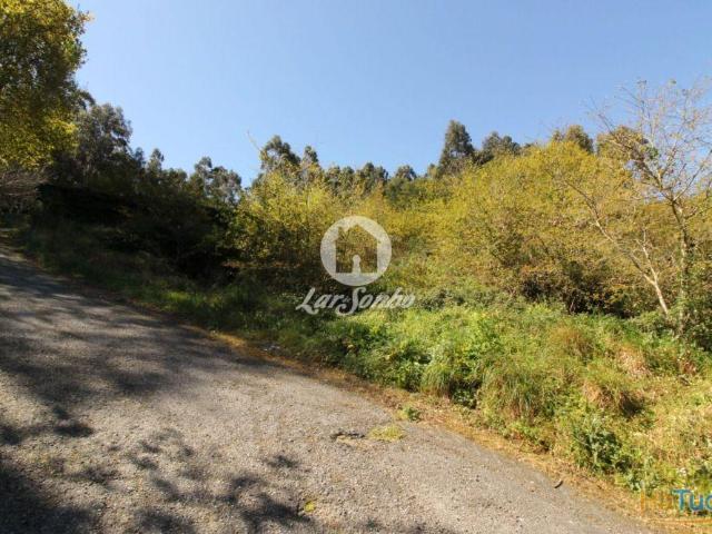 Terreno em Quinchães com 598m² Uma Oportunidade Única! | 26083805065