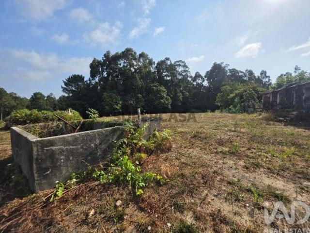 Terreno em Reboreda e Nogueira