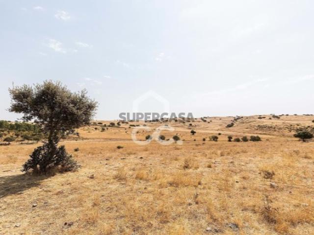 Terreno em Reguengos de Monsaraz